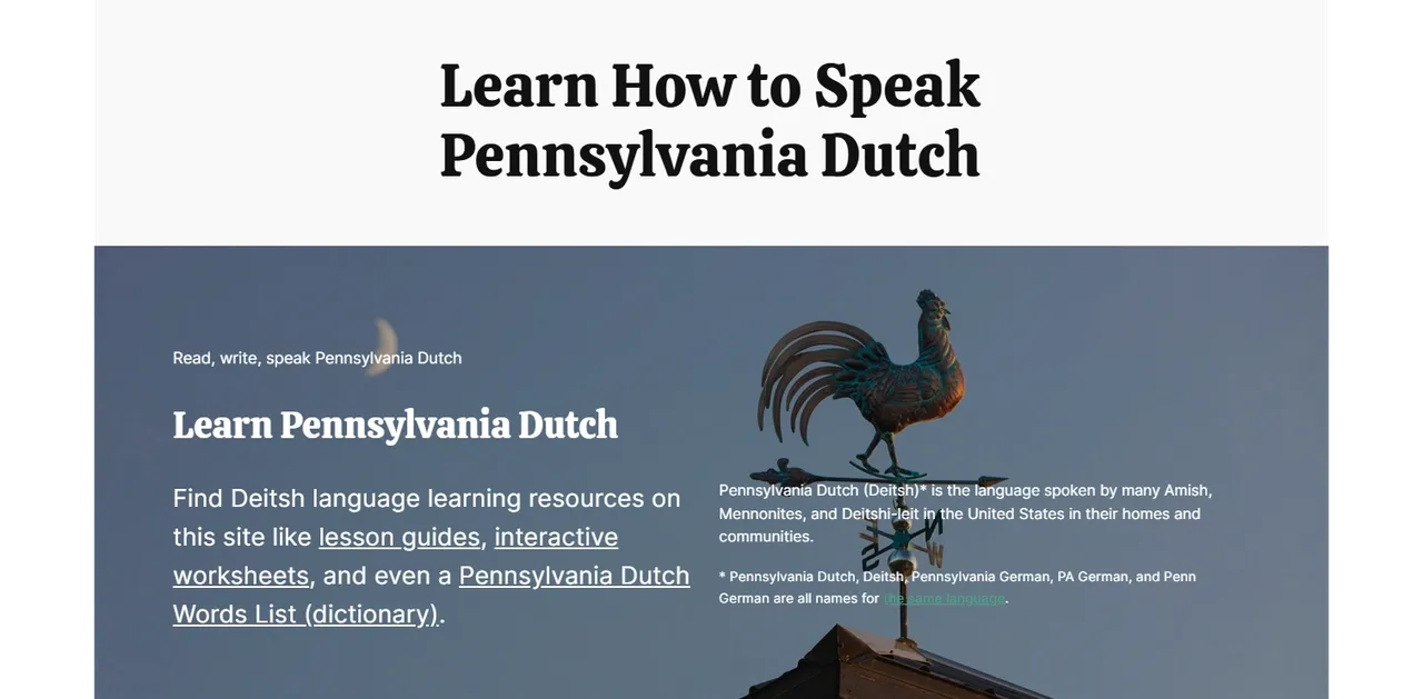 An image of the Learn Dutch website