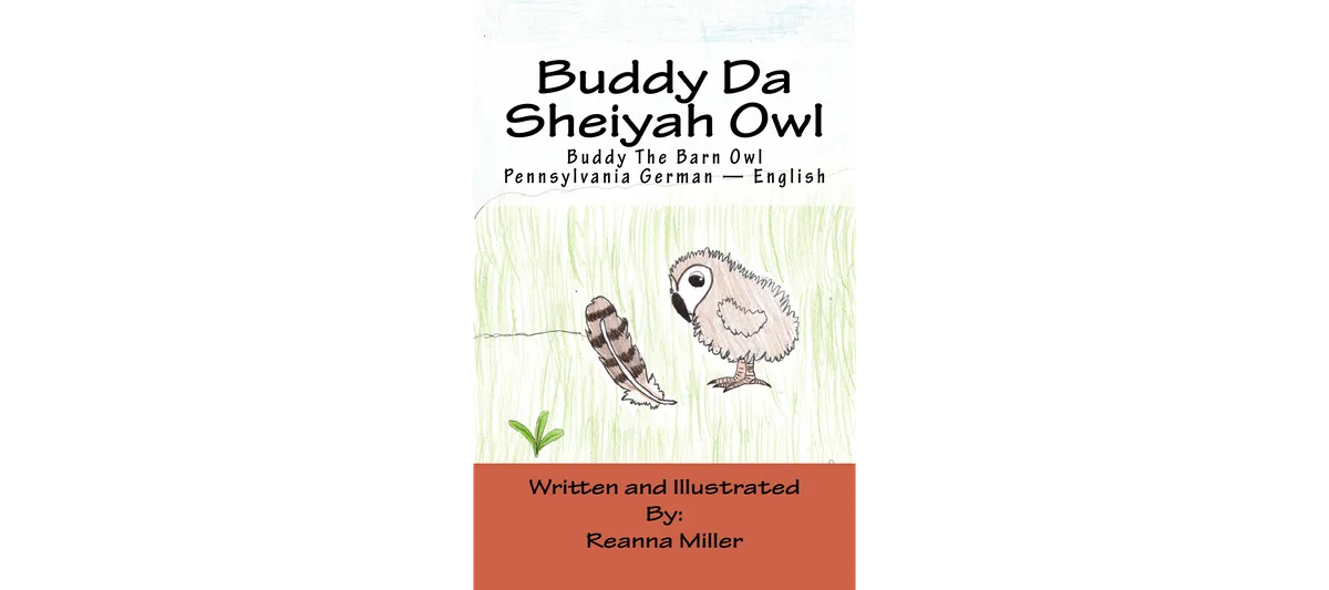 An image of the Owl book cover
